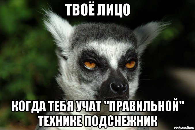 твоё лицо когда тебя учат "правильной" технике подснежник, Мем   Я збагоен