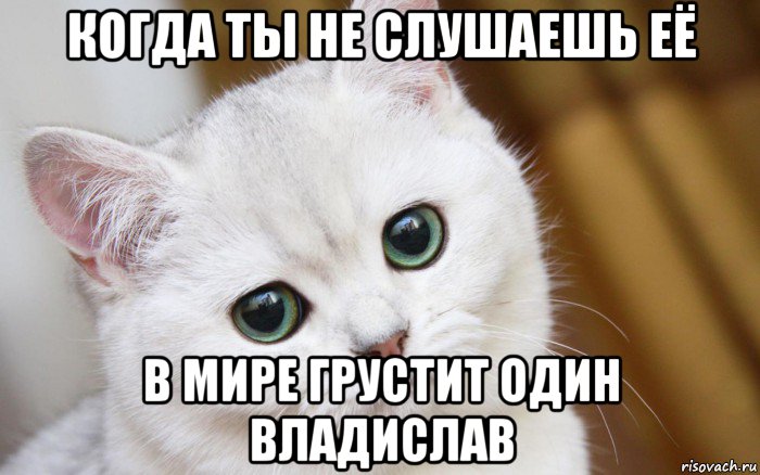 когда ты не слушаешь её в мире грустит один владислав, Мем  В мире грустит один котик