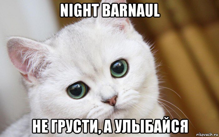 night barnaul не грусти, а улыбайся, Мем  В мире грустит один котик