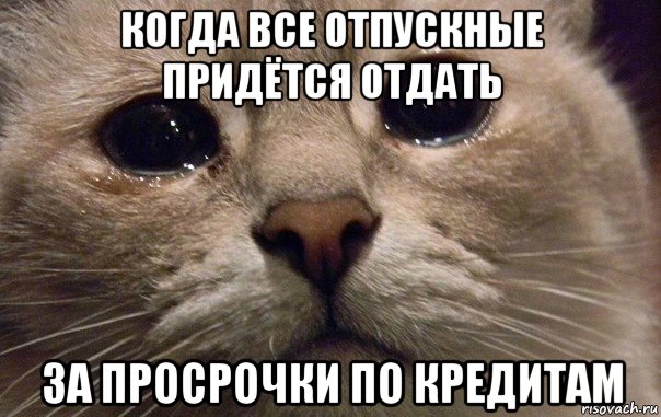 когда все отпускные придётся отдать за просрочки по кредитам, Мем   В мире грустит один котик