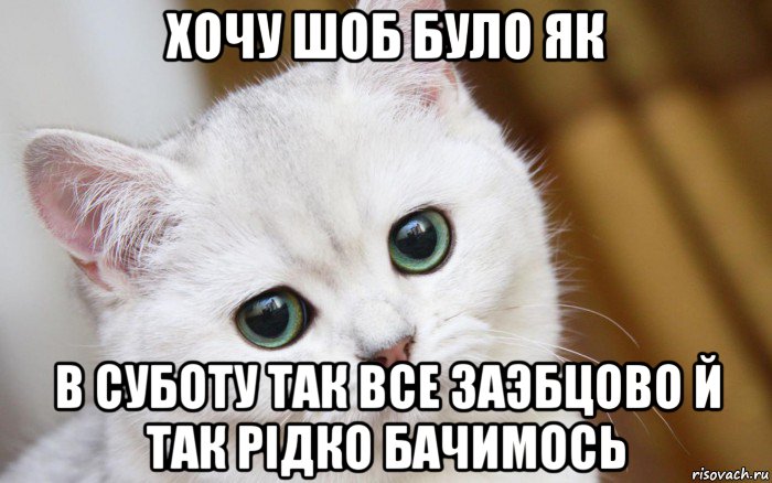 хочу шоб було як в суботу так все заэбцово й так рiдко бачимось, Мем  В мире грустит один котик