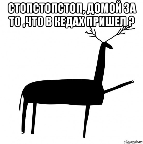 стопстопстоп, домой за то ,что в кедах пришел ? , Мем  Вежливый олень