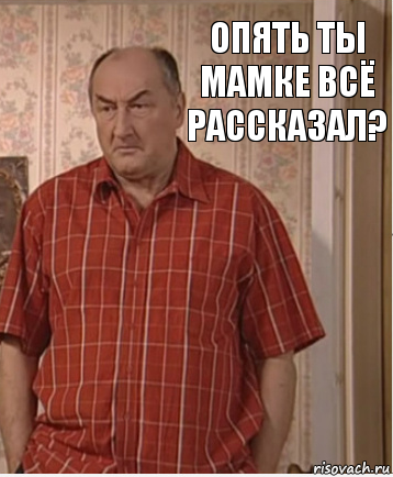 Опять ты мамке всё рассказал?, Комикс Николай Петрович Воронин