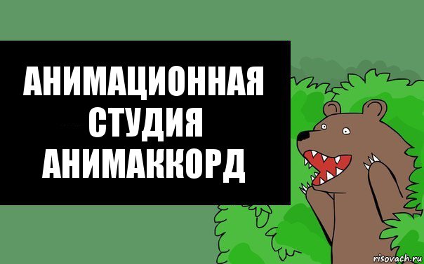 анимационная студия
АНИМАККОРД