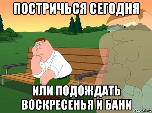 постричься сегодня или подождать воскресенья и бани, Мем Задумчивый Гриффин