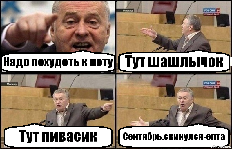 Надо похудеть к лету Тут шашлычок Тут пивасик Сентябрь.скинулся-епта, Комикс Жириновский