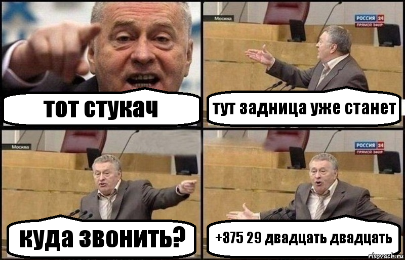 тот стукач тут задница уже станет куда звонить? +375 29 двадцать двадцать, Комикс Жириновский