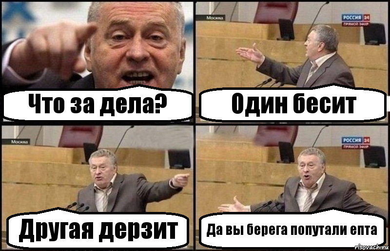 Что за дела? Один бесит Другая дерзит Да вы берега попутали епта, Комикс Жириновский