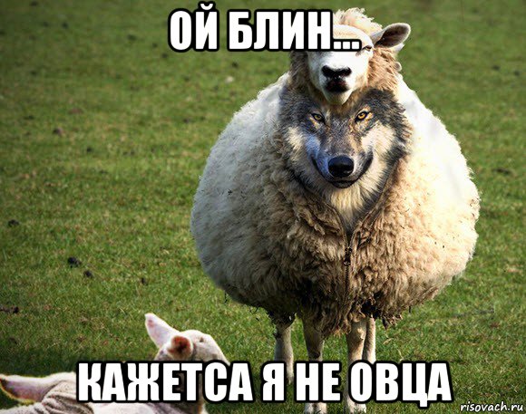 ой блин... кажетса я не овца, Мем Злая Овца