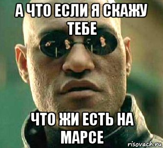 а что если я скажу тебе что жи есть на марсе, Мем  а что если я скажу тебе