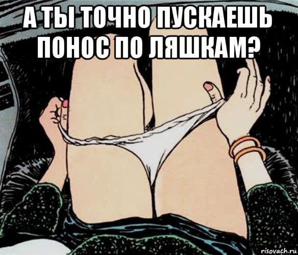 а ты точно пускаешь понос по ляшкам? , Мем А ты точно