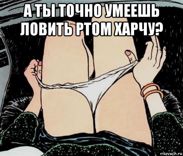 а ты точно умеешь ловить ртом харчу? , Мем А ты точно