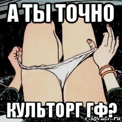 а ты точно культорг гф?, Мем А ты точно продюссер