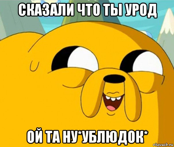 сказали что ты урод ой та ну*ублюдок*, Мем  Adventure time