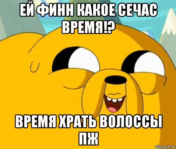 ей финн какое сечас время!? время храть волоссы пж, Мем  Adventure time