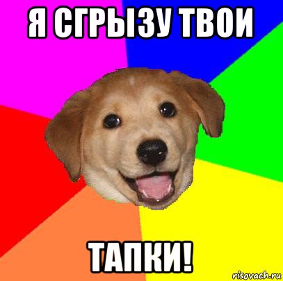 я сгрызу твои тапки!, Мем Advice Dog