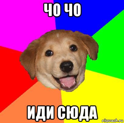 чо чо иди сюда, Мем Advice Dog