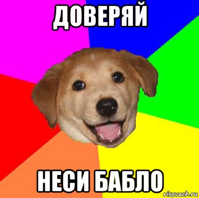 доверяй неси бабло, Мем Advice Dog