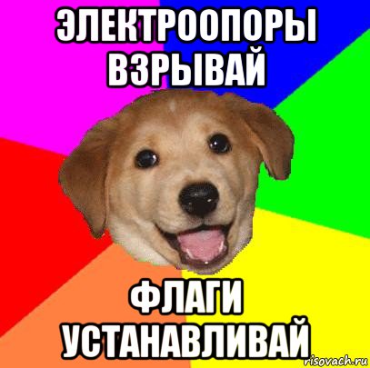 электроопоры взрывай флаги устанавливай, Мем Advice Dog