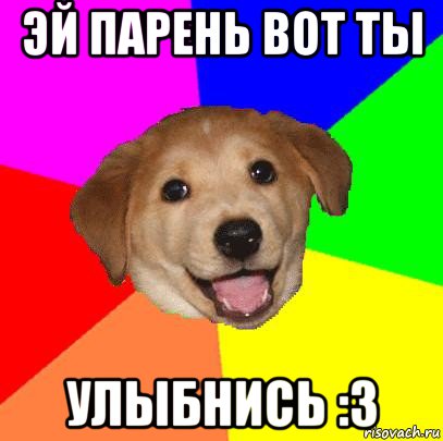 эй парень вот ты улыбнись :3, Мем Advice Dog