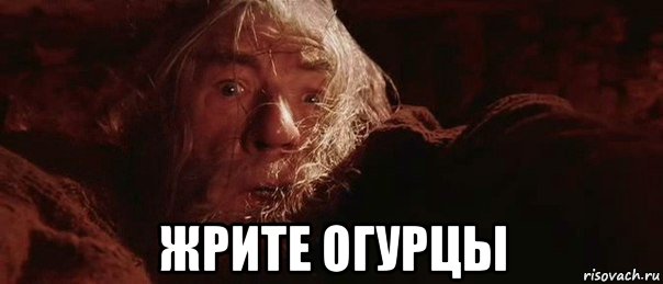  жрите огурцы, Мем бегите глупцы