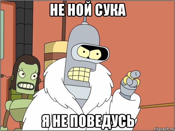 не ной сука я не поведусь, Мем Бендер