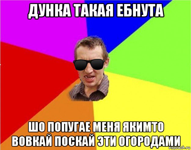 дунка такая ебнута шо попугае меня якимто вовкай поскай эти огородами, Мем Чьоткий двiж