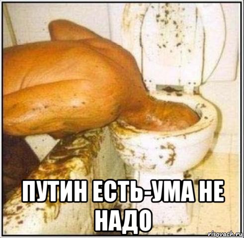  путин есть-ума не надо, Мем Дайвер