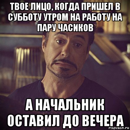 твое лицо, когда пришел в субботу утром на работу на пару часиков а начальник оставил до вечера, Мем   дауни фиг знает