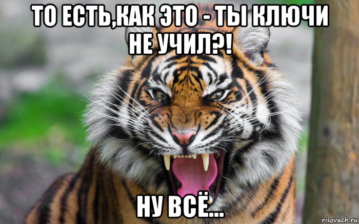 то есть,как это - ты ключи не учил?! ну всё..., Мем ДЕРЗКИЙ ТИГР