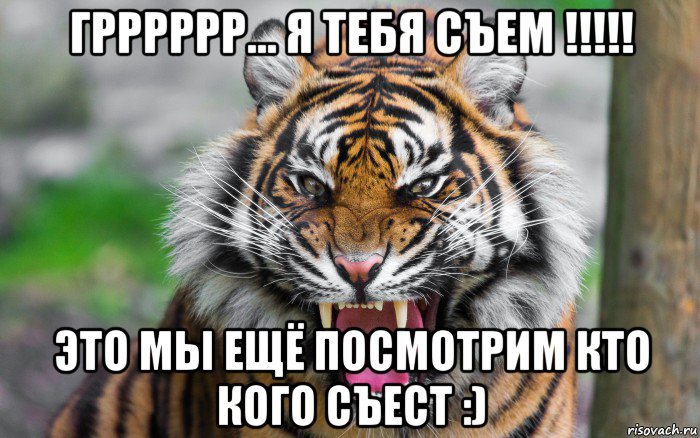 грррррр... я тебя съем !!!!! это мы ещё посмотрим кто кого съест :)