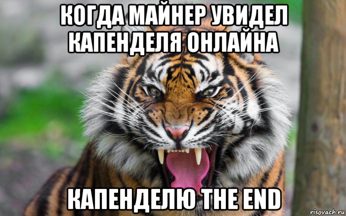 когда майнер увидел капенделя онлайна капенделю the end