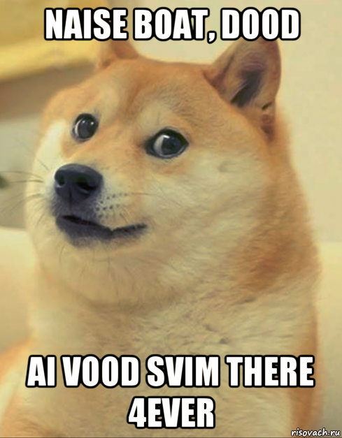 naise boat, dood ai vood svim there 4ever, Мем doge woof