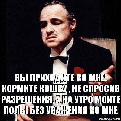 Вы приходите ко мне, кормите кошку , не спросив разрешения, а на утро моите полы без уважения ко мне, Комикс Дон Вито Корлеоне 1