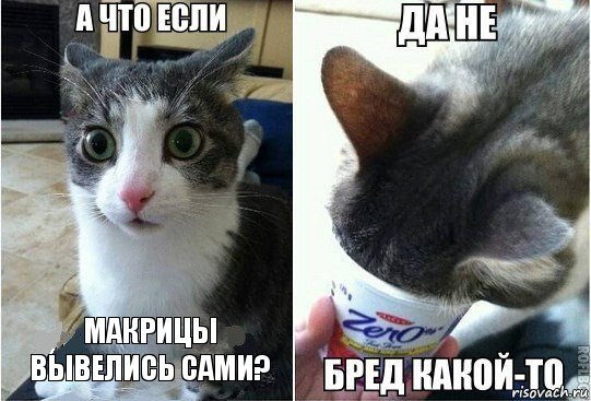 Макрицы вывелись сами?, Комикс А что если