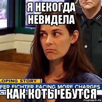 я некогда невидела как коты ебутся, Мем   Фихтер