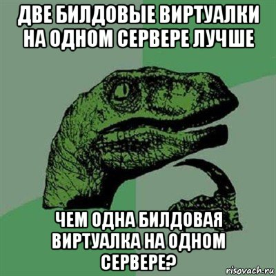 две билдовые виртуалки на одном сервере лучше чем одна билдовая виртуалка на одном сервере?, Мем Филосораптор