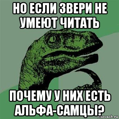 но если звери не умеют читать почему у них есть альфа-самцы?, Мем Филосораптор