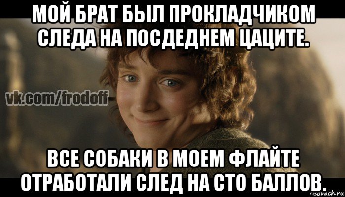 мой брат был прокладчиком следа на посдеднем цаците. все собаки в моем флайте отработали след на сто баллов., Мем  Фродо