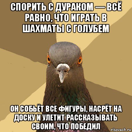 спорить с дураком — всё равно, что играть в шахматы с голубем он собьёт все фигуры, насрёт на доску и улетит рассказывать своим, что победил, Мем голубь