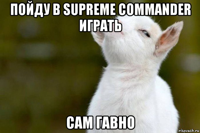 пойду в supreme commander играть сам гавно, Мем  Гордый козленок