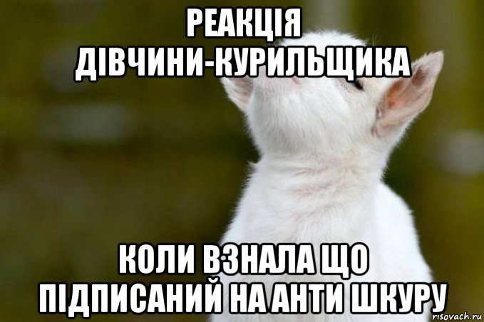 реакція дівчини-курильщика коли взнала що підписаний на анти шкуру, Мем  Гордый козленок