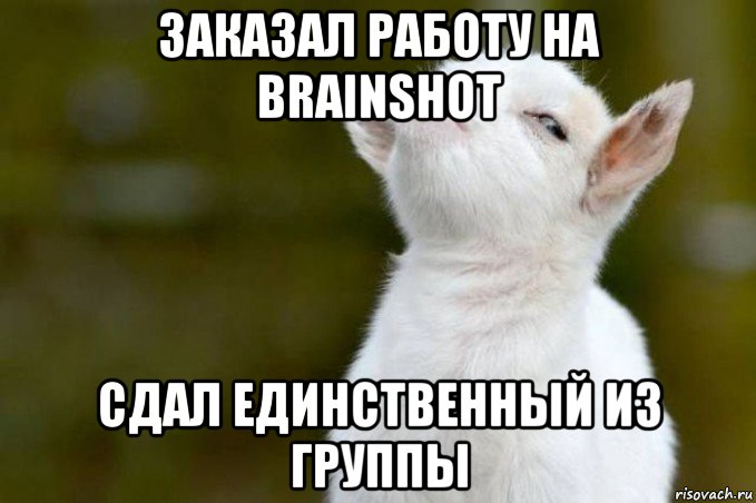 заказал работу на brainshot сдал единственный из группы, Мем  Гордый козленок