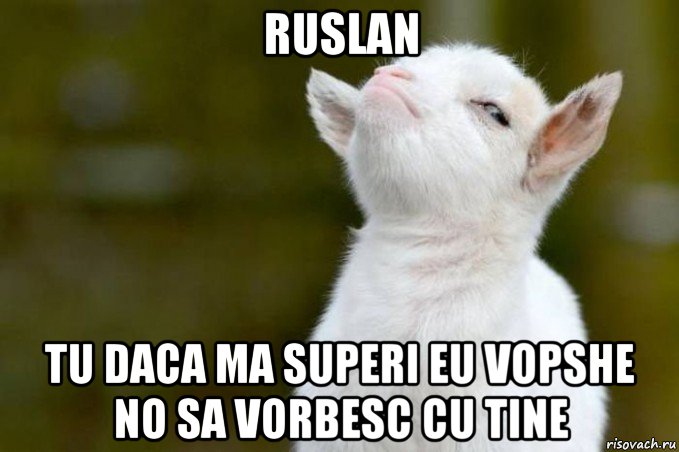 ruslan tu daca ma superi eu vopshe no sa vorbesc cu tine, Мем  Гордый козленок