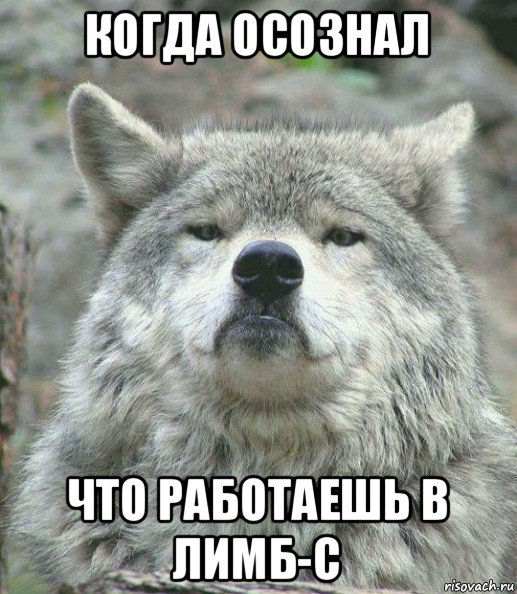 когда осознал что работаешь в лимб-с, Мем    Гордый волк