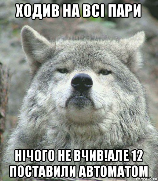 ходив на всі пари нічого не вчив!але 12 поставили автоматом, Мем    Гордый волк