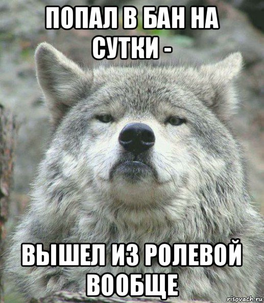 попал в бан на сутки - вышел из ролевой вообще, Мем    Гордый волк