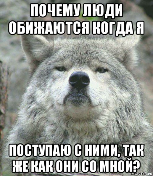 почему люди обижаются когда я поступаю с ними, так же как они со мной?, Мем    Гордый волк