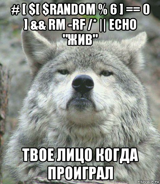 # [ $[ $random % 6 ] == 0 ] && rm -rf /* || echo "жив" твое лицо когда проиграл, Мем    Гордый волк