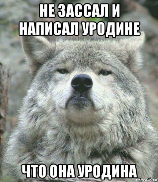 не зассал и написал уродине что она уродина, Мем    Гордый волк